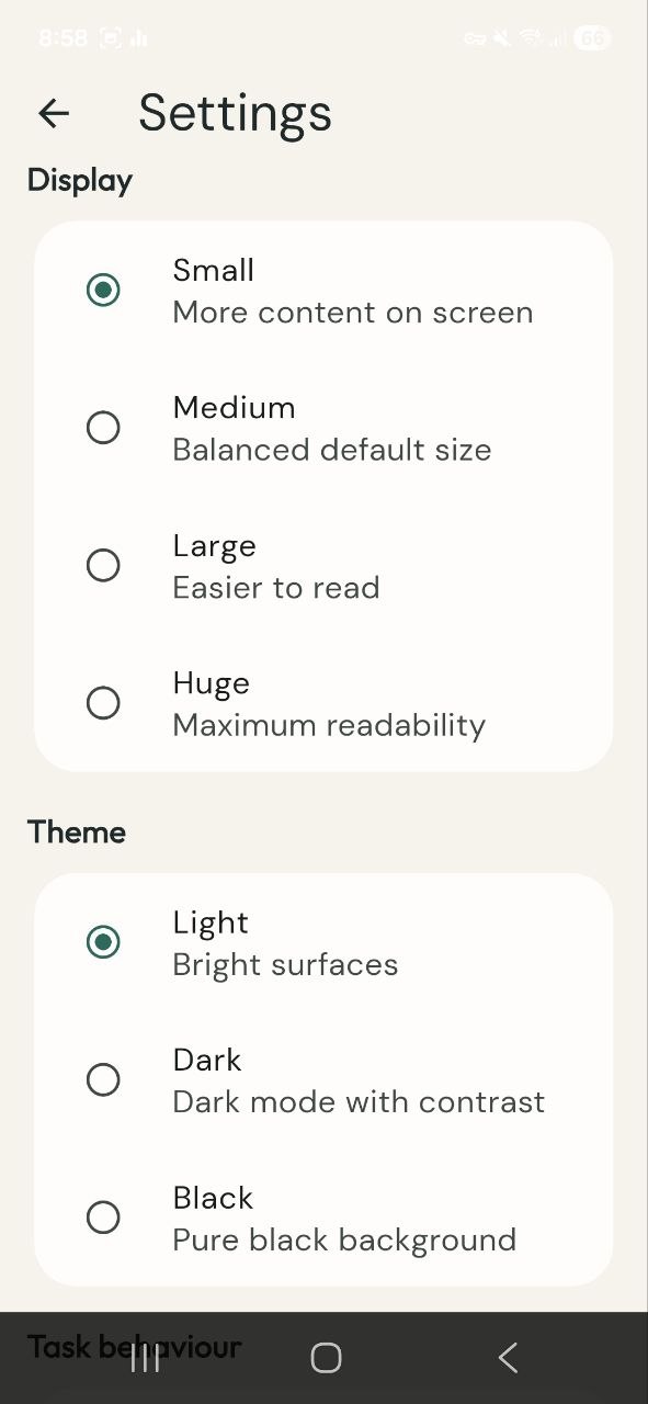 Display and theme settings with text size and light, dark, and black themes